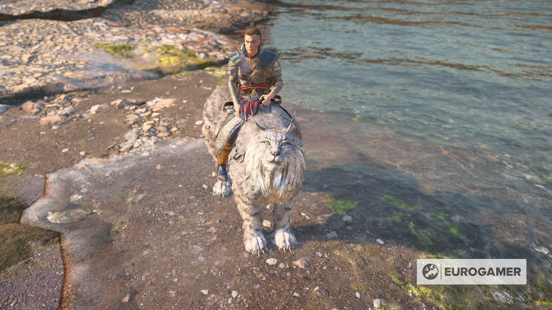 Assassin's Creed Valhalla Wrath of the Druids review